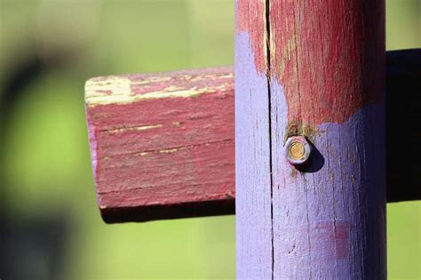 DIY Garden Stakes: Crafting Durable Plant Supports at Home.
